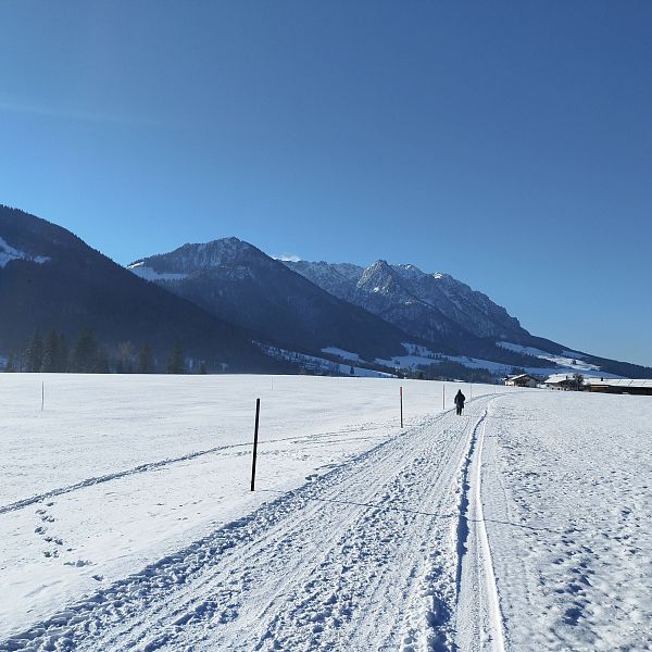 13 Winterwanderweg Richtung Walchsee