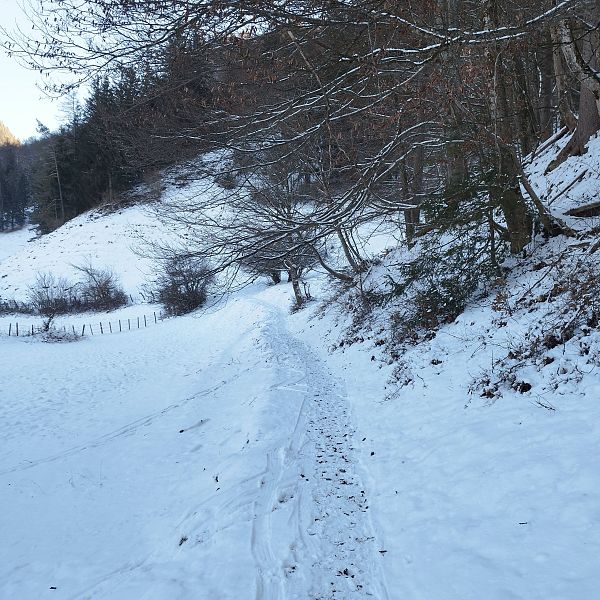 4 Weg Richtung Ottenalm