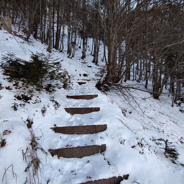6 Weg Richtung Harausattel