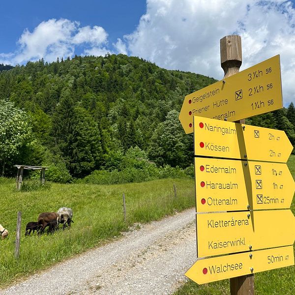 alpenbaby-3-almen-wanderung-14