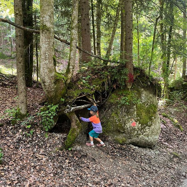 alpenbaby-3-almen-wanderung-4