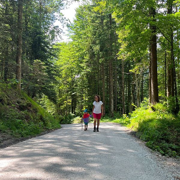 alpenbaby-3-almen-wanderung-7