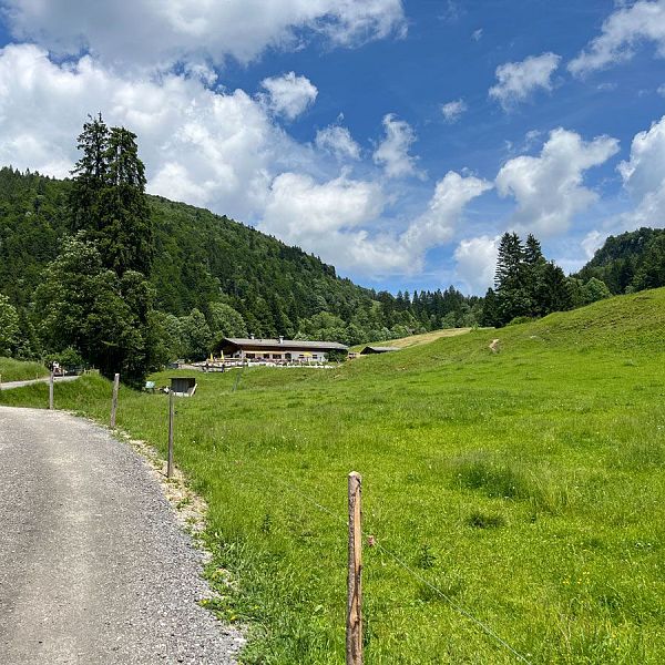 alpenbaby-3-almen-wanderung-9