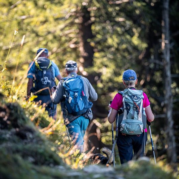 andreas-gruhle-herbstwanderung-karkopf-6