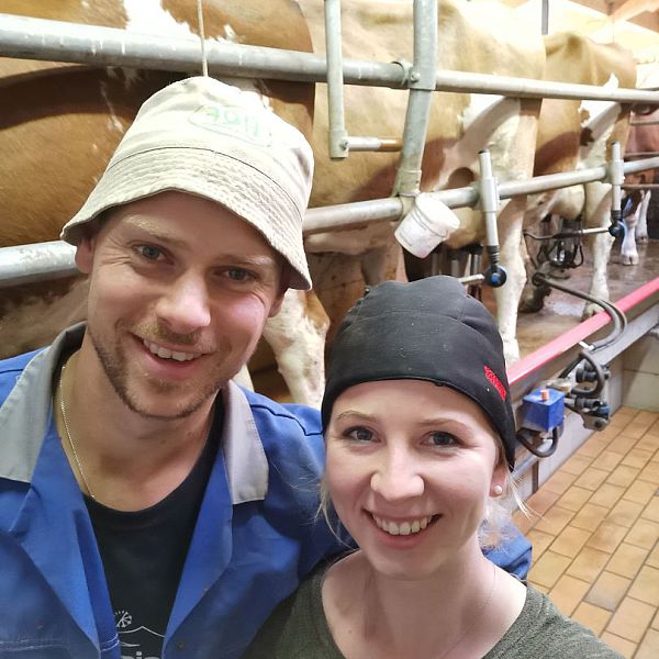blog-bauernhof