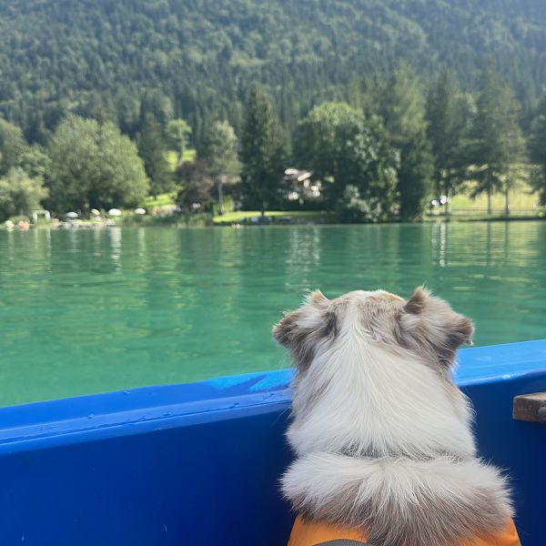 Bootsfahren am Walchsee