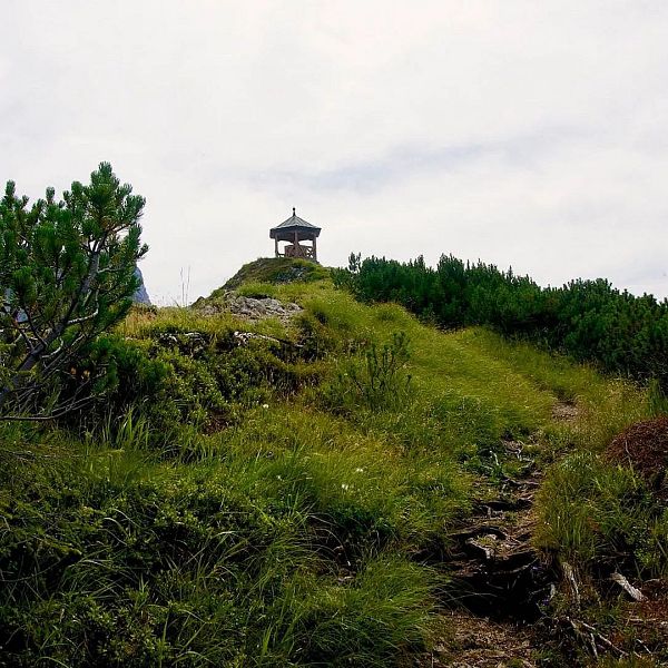 feldberg-stripsenkopf-10-von-15
