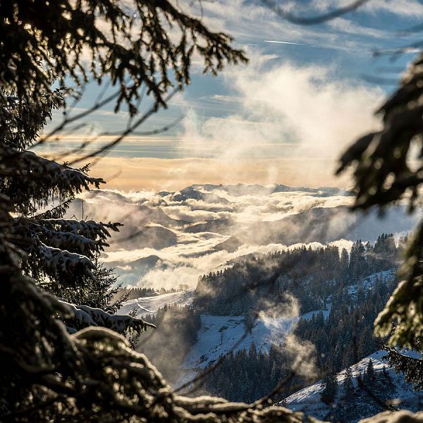 frederic-funk-trailrunning-7