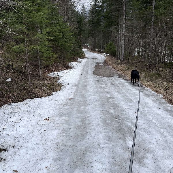 fruehlingswanderung-fischbachalm-stefanie-hamberger-11