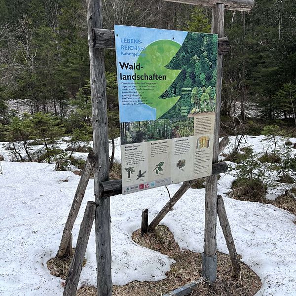 fruehlingswanderung-fischbachalm-stefanie-hamberger-13