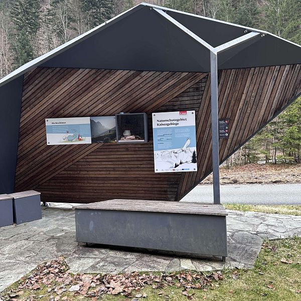 fruehlingswanderung-fischbachalm-stefanie-hamberger-69