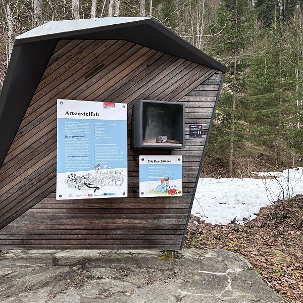 fruehlingswanderung-fischbachalm-stefanie-hamberger-8