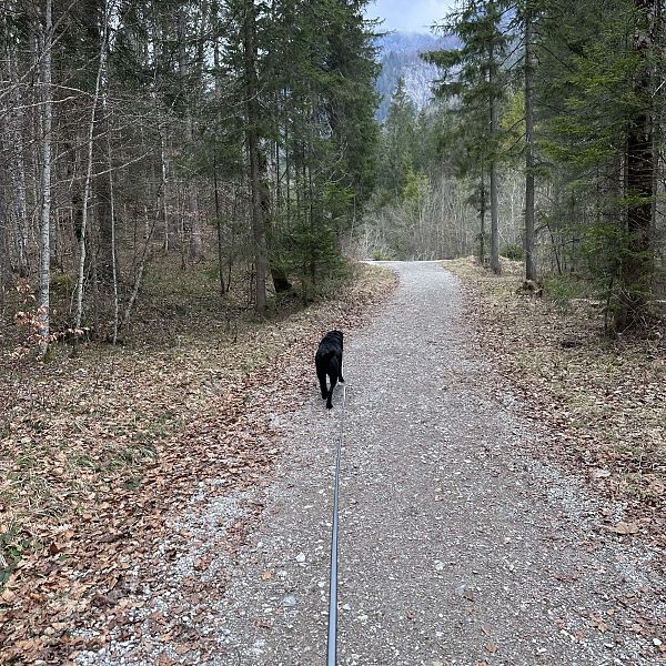 fruehlingswanderung-fischbachalm-stefanie-hamberger-9