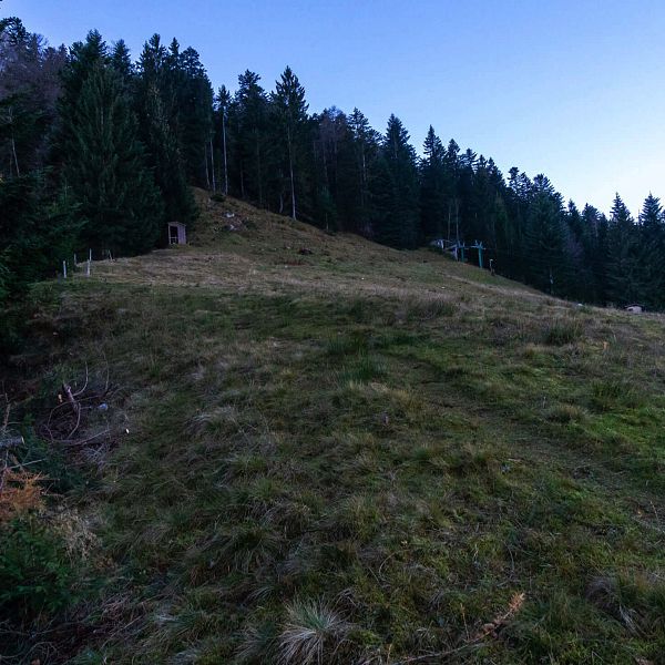 grinnerkopf-2