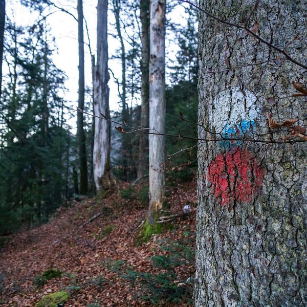 grinnerkopf-3