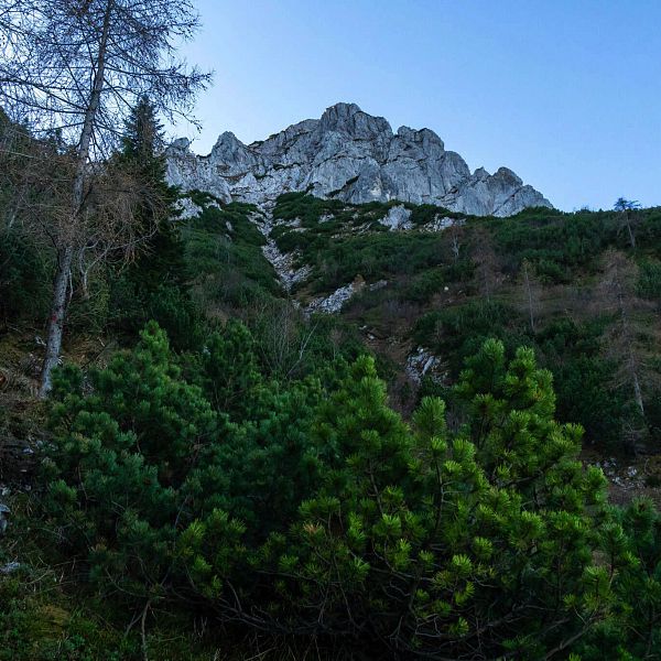 grinnerkopf-5