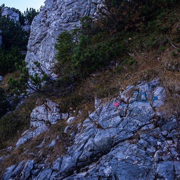 grinnerkopf-6