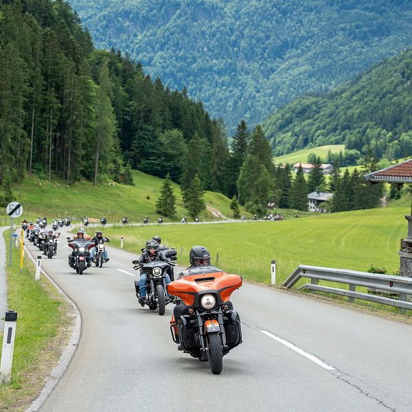 Harley Davidson_2026