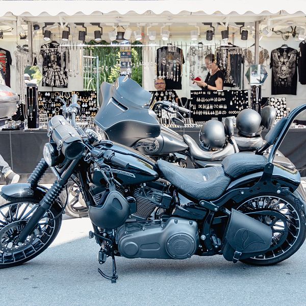 Harley Davidson - captured_ bydiana