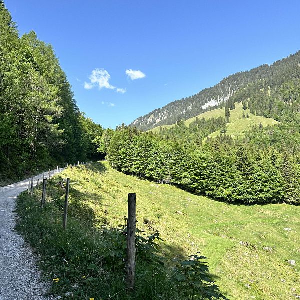 img-7289