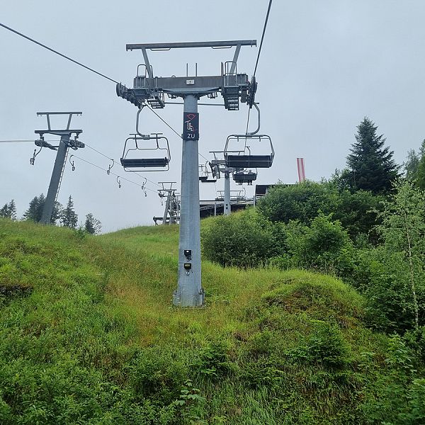 kaiserwinkl-corinnaellmer-bienenwanderung-04