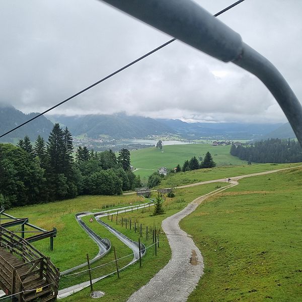 kaiserwinkl-corinnaellmer-bienenwanderung-05