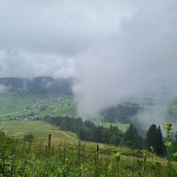 kaiserwinkl-corinnaellmer-bienenwanderung-12