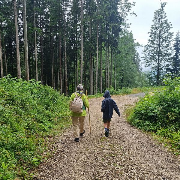 kaiserwinkl-corinnaellmer-bienenwanderung-14