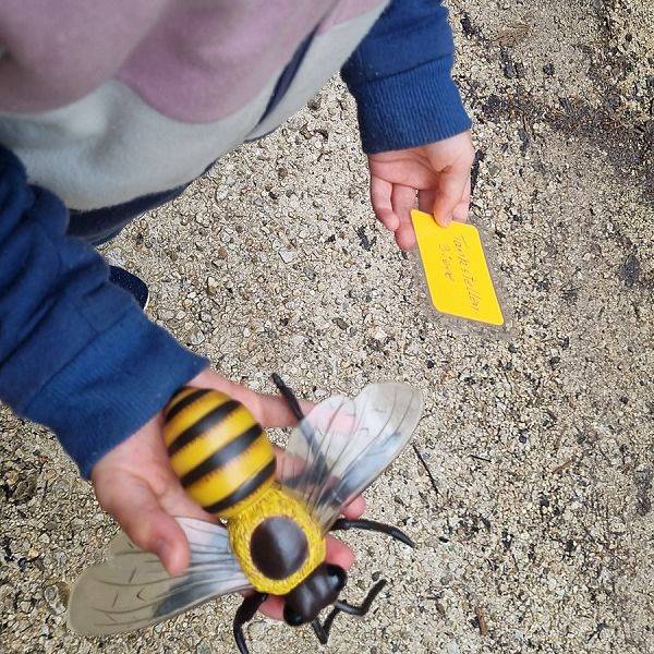 kaiserwinkl-corinnaellmer-bienenwanderung-16