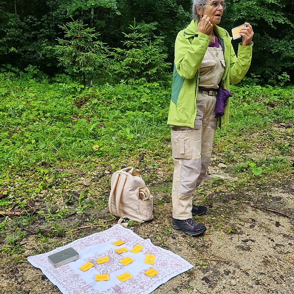 kaiserwinkl-corinnaellmer-bienenwanderung-17
