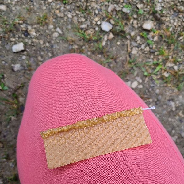 kaiserwinkl-corinnaellmer-bienenwanderung-26
