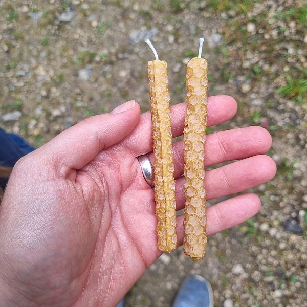 kaiserwinkl-corinnaellmer-bienenwanderung-27