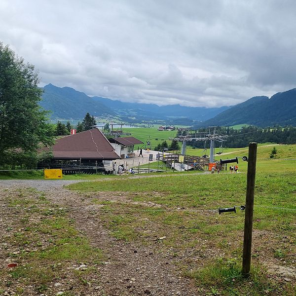 kaiserwinkl-corinnaellmer-bienenwanderung-34