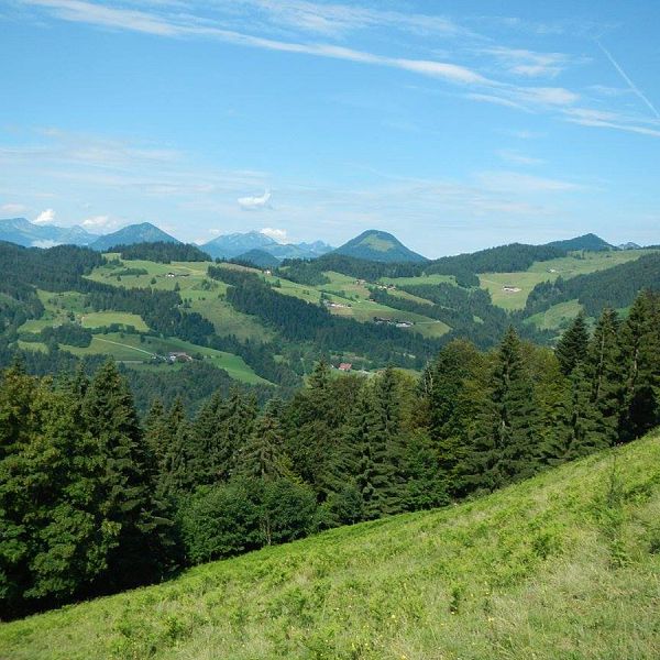 Kaiserwinkl_LenaSchindler_Trailrunning_03
