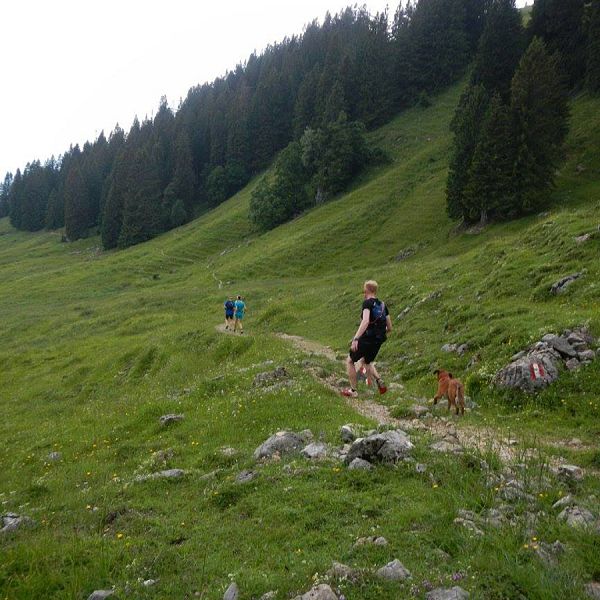 Kaiserwinkl_LenaSchindler_Trailrunning_05