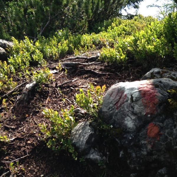 Kaiserwinkl_LenaSchindler_Trailrunning_11