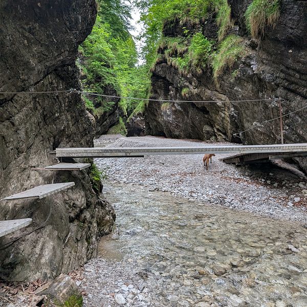 kaiserwinkl-magazin-griessbachrunde-metallsteig-und-fluss