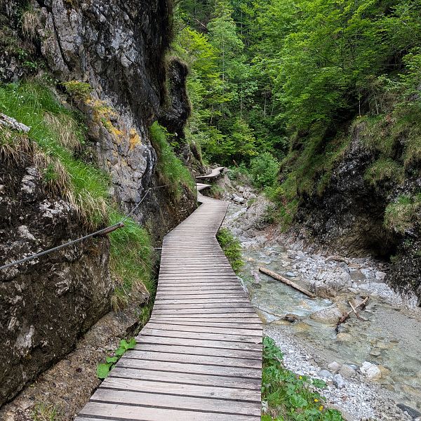 kaiserwinkl-magazin-griessbachrunde-steg-und-fluss