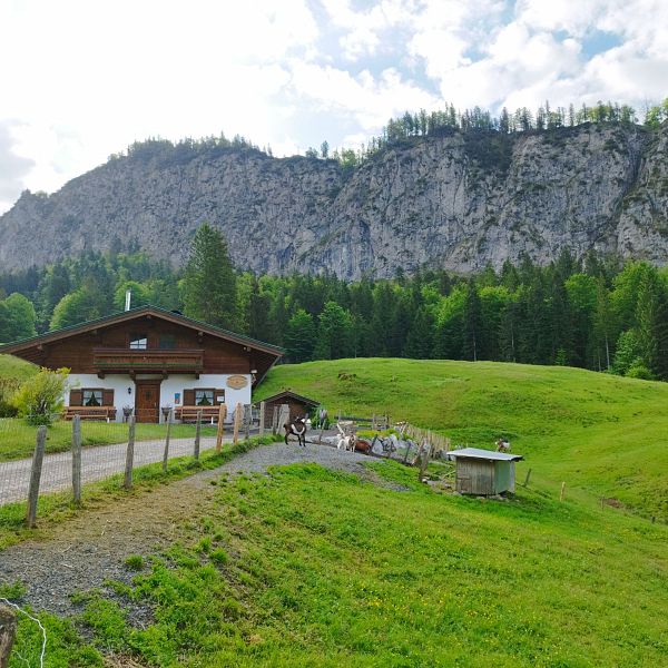 kaiserwinkl-magazin-raineralm