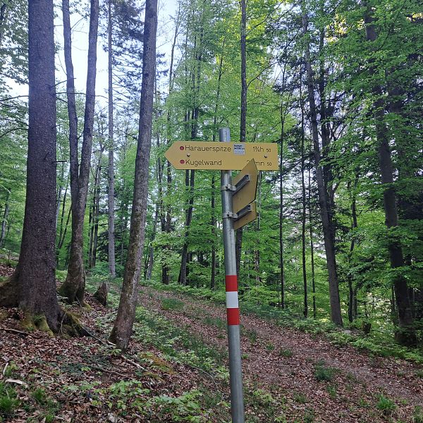 kaiserwinkl-premiumwanderweg-kugelwand-harauspitze-01
