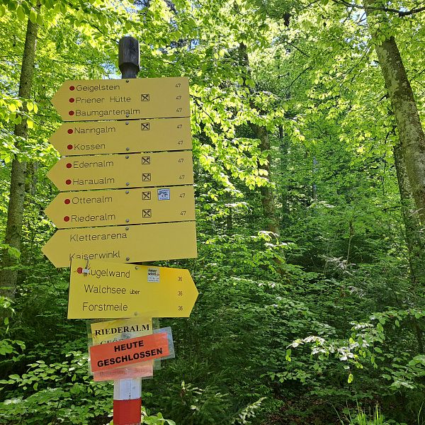 kaiserwinkl-premiumwanderweg-kugelwand-harauspitze-06