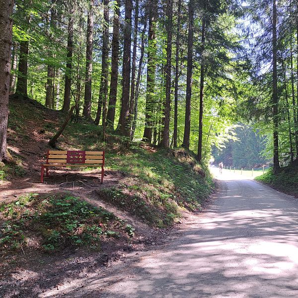 kaiserwinkl-premiumwanderweg-kugelwand-harauspitze-07