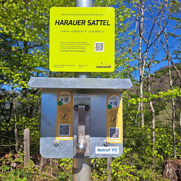 kaiserwinkl-premiumwanderweg-kugelwand-harauspitze-11