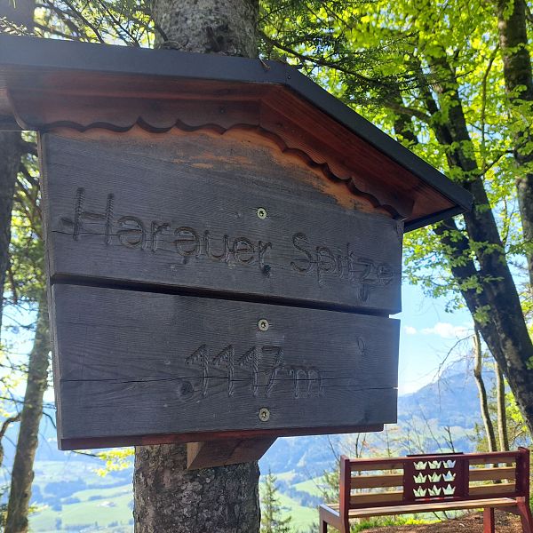 kaiserwinkl-premiumwanderweg-kugelwand-harauspitze-16
