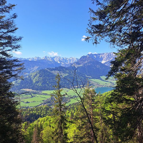 kaiserwinkl-premiumwanderweg-kugelwand-harauspitze-19