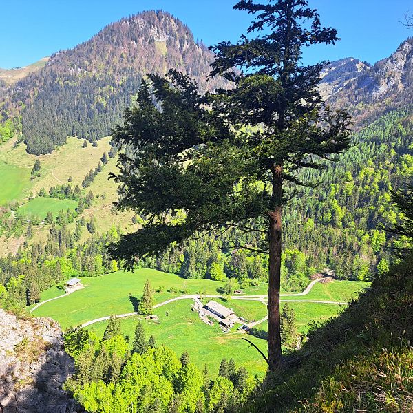 kaiserwinkl-premiumwanderweg-kugelwand-harauspitze-21