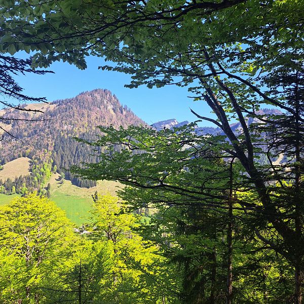 kaiserwinkl-premiumwanderweg-kugelwand-harauspitze-25