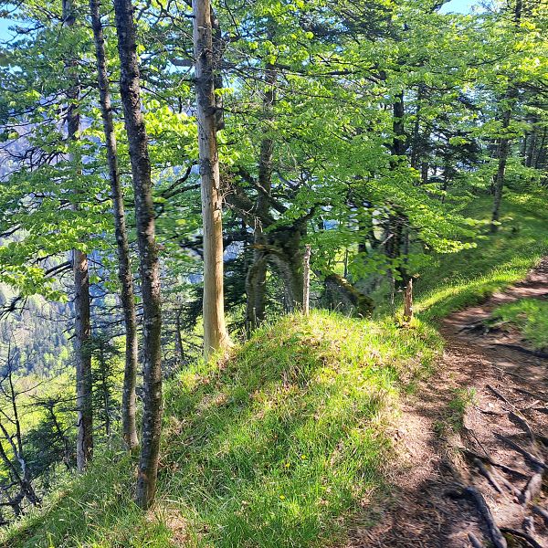 kaiserwinkl-premiumwanderweg-kugelwand-harauspitze-26