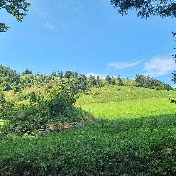 KAW_Magazin_2509_CorinnaEllmer_Raineralm_15