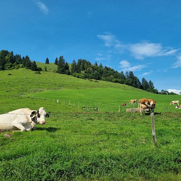 KAW_Magazin_2509_CorinnaEllmer_Raineralm_17